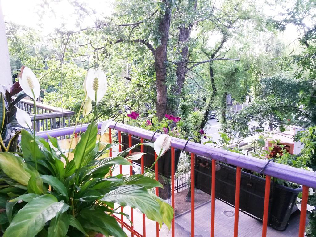 "В Центре Города" Квартира - "Downtown" Apartment Almaty Ngoại thất bức ảnh